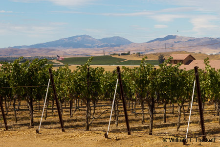 3 Steves Winery view, Livermore, California