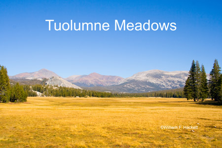 Tuolumne Meadows, Yosemite National Park, California