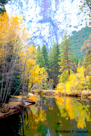 Merced River Leaves, Digital PhotoArt