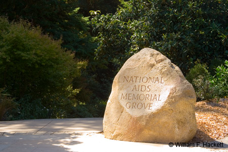 National AIDS Memorial Grove, Golden Gate Park