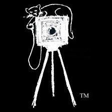 Cheshire Cat Photo, LLC Logo