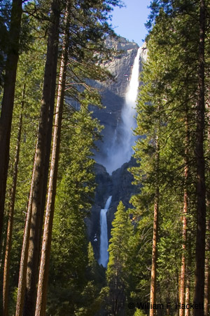 Yosemite Falls, Yosemite National Park