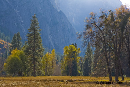 Cook's Meadow, Yosemite