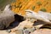 PfeifferBeach0056