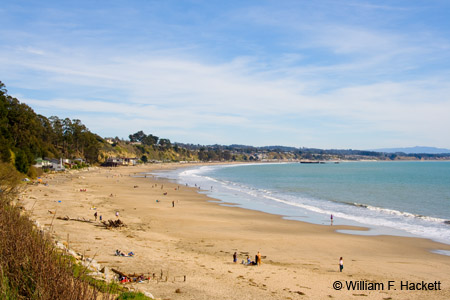 NewBrightonSBMarch0761