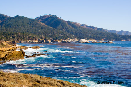 PtLobosChinaCove0787