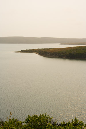 PtReyesEsteroTrDrakes2432