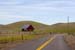 ManningRoad0369
