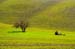ManningRoad0391