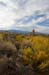 MonoLakeTufa4202