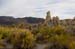 MonoLakeTufa4206
