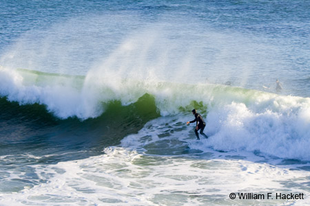 SurfingSteamerLane0928