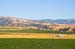LivermoreVineyards0691