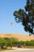 VinesAndBarrelsJul1820