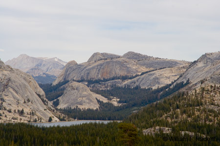 TenayaLakeOlmsteadPt4139