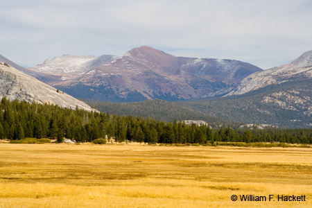 TuolumneMeadows4177