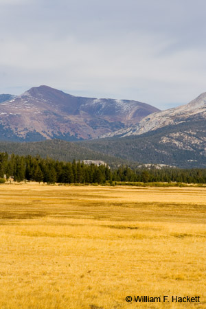 TuolumneMeadows4187