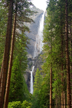 YosemiteFallsJun1455