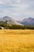 TuolumneMeadows4185