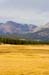 TuolumneMeadows4187