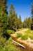 YosemiteCreekTiogaRd0707